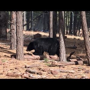 Meet your Posher, Caitlin